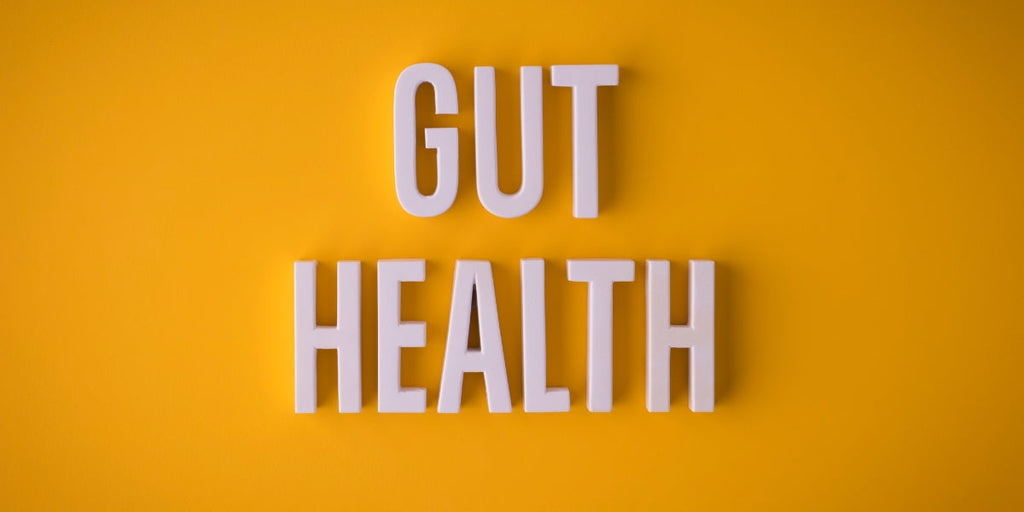 The importance of gut health in an overall healthy lifestyle