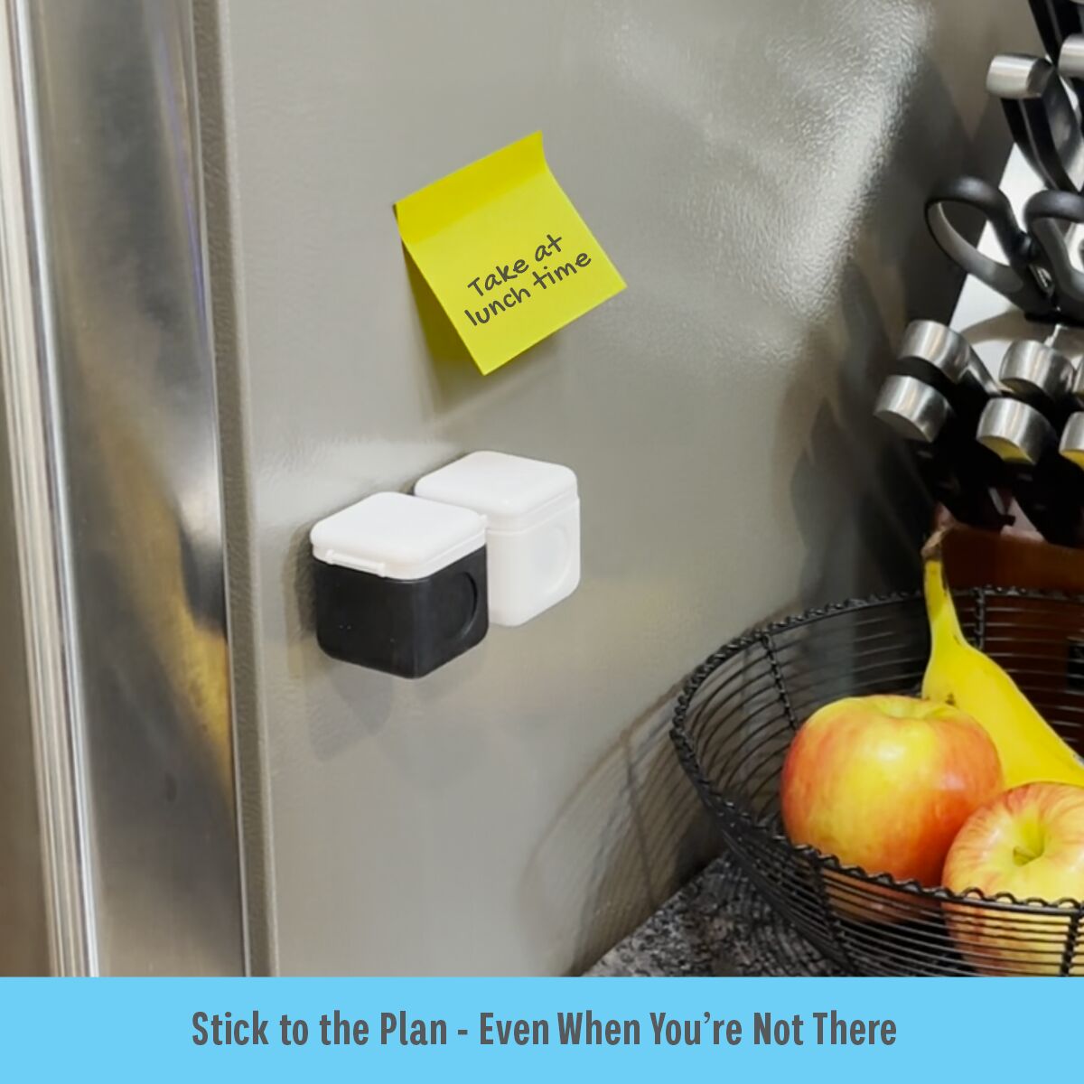 Equadose® Silicone Magnetic Containers