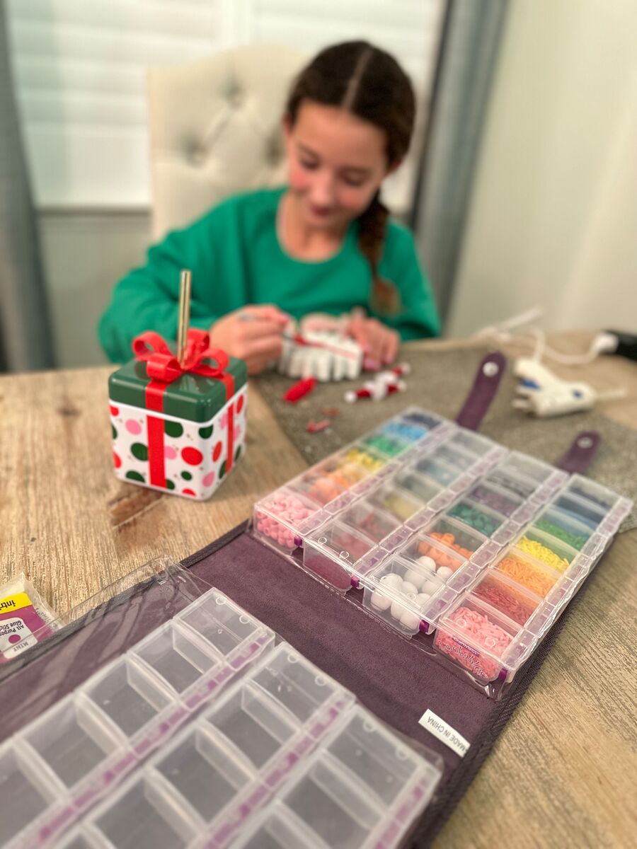 Craft Mates® Double-Sided Case with 8-Organizers